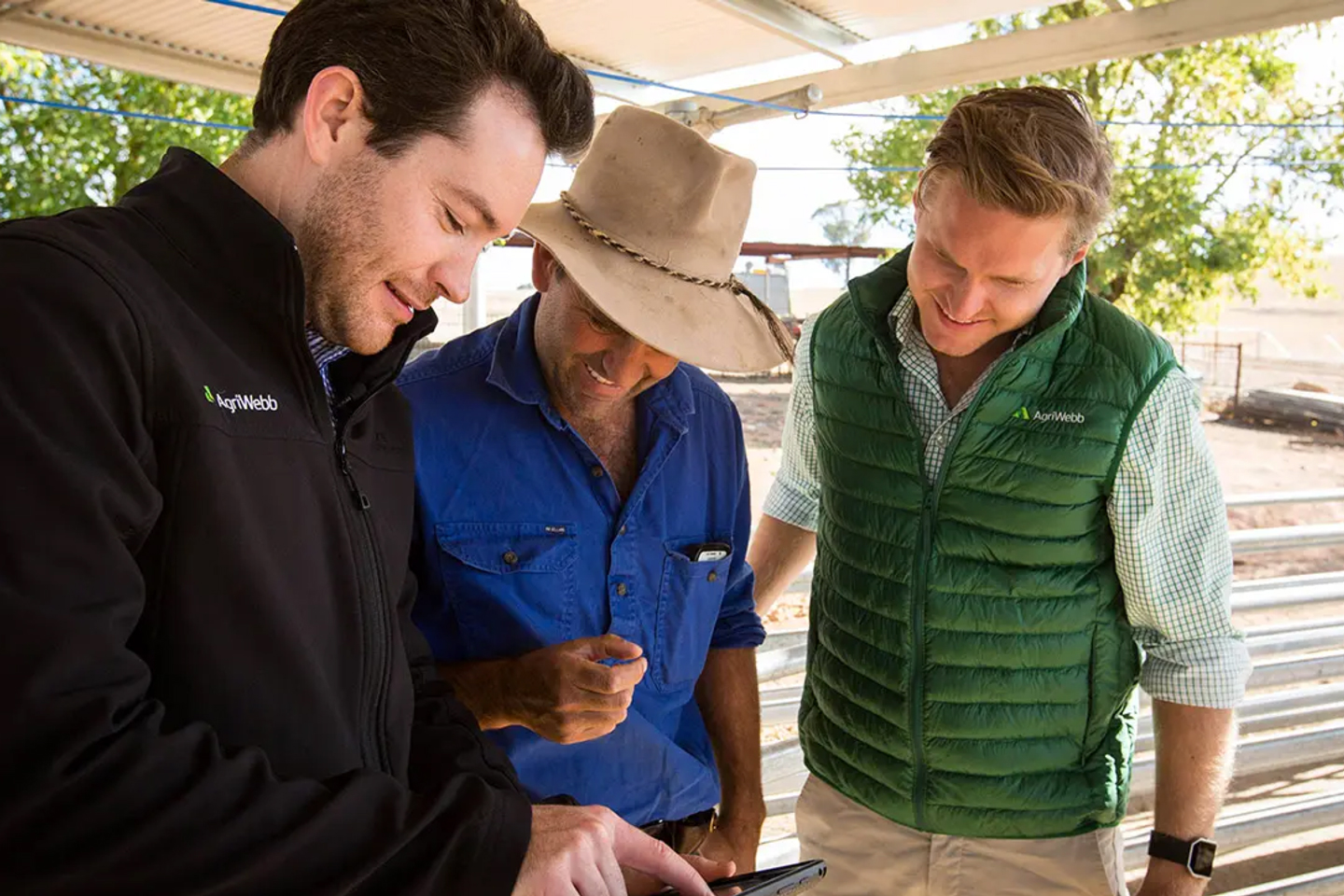 Agricultural professional using farm management software on tablet device in modern farming operation
