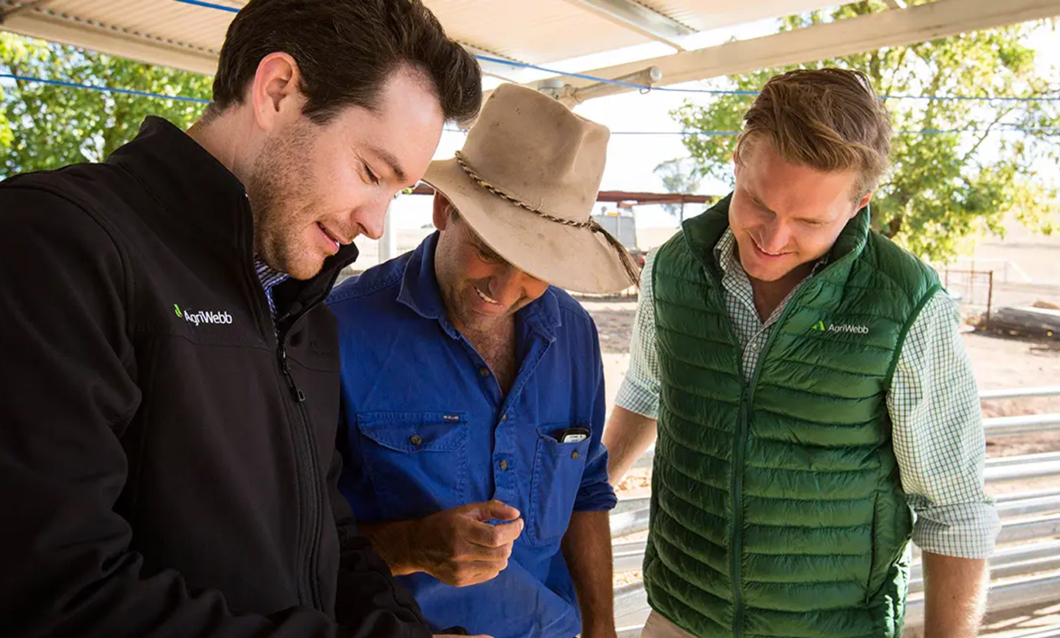 Website speed testing results showing optimized performance for rural internet connections and agricultural users