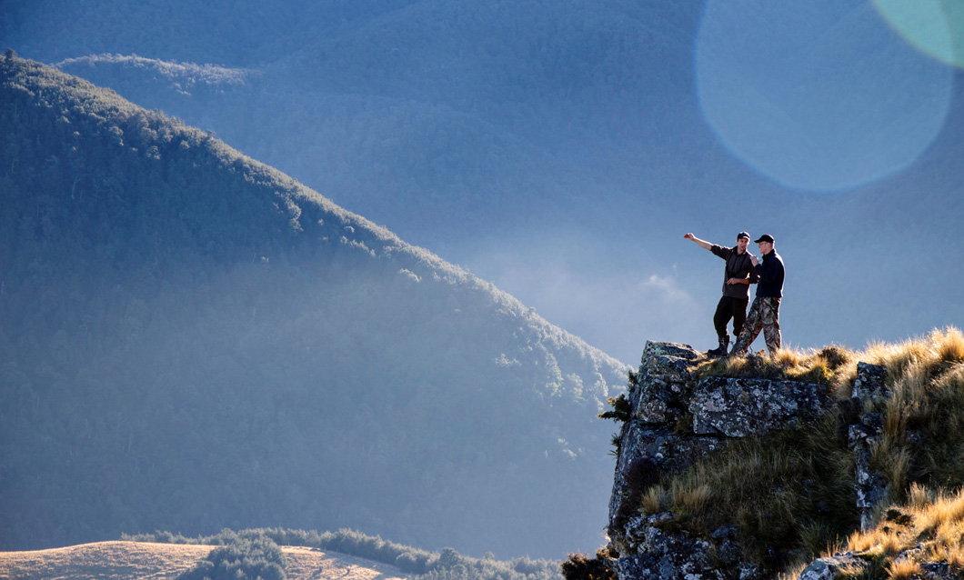 Unified agribusiness brand identity system displaying logos and color palette inspired by seasonal farm colors